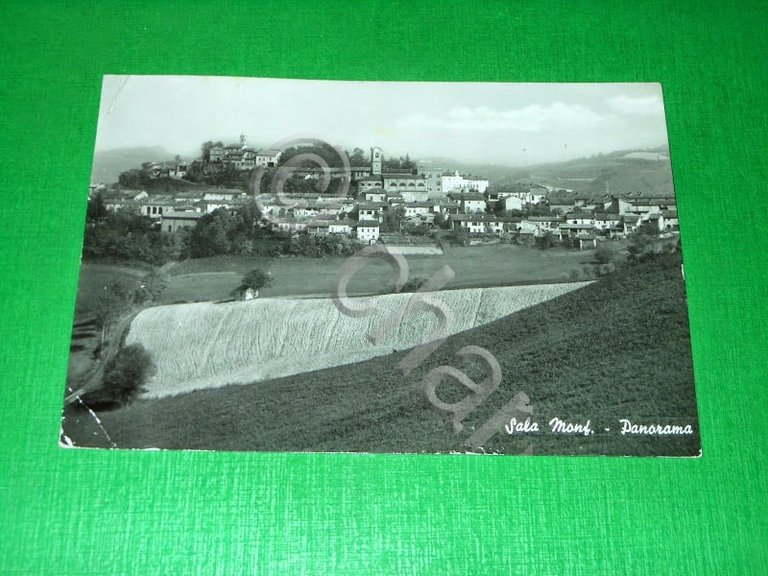 Cartolina Sala Monferrato - Panorama 1964.