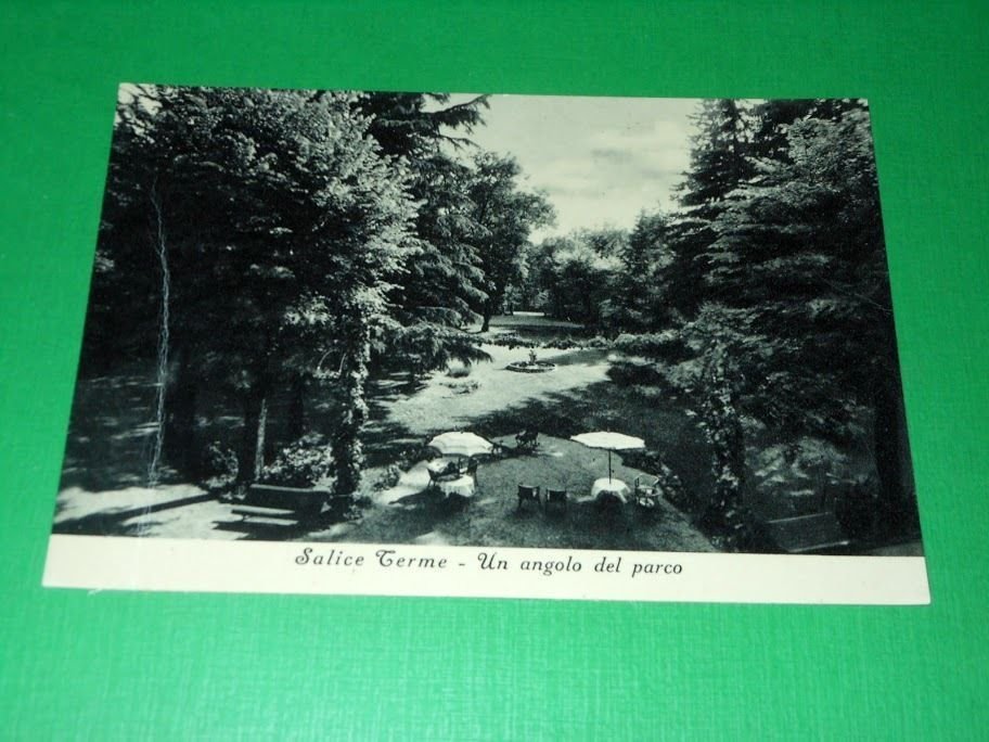 Cartolina Salice Terme - Un angolo del parco 1952.
