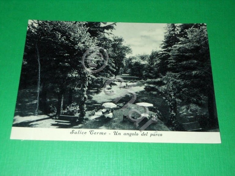 Cartolina Salice Terme - Un angolo del parco 1952.