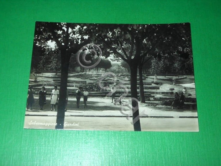 Cartolina Salsomaggiore - Giardini 1950 ca