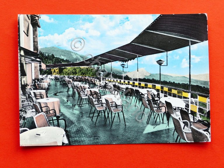 Cartolina Salsomaggiore - Mille Pini - Terrazzo Panoramico - 1966