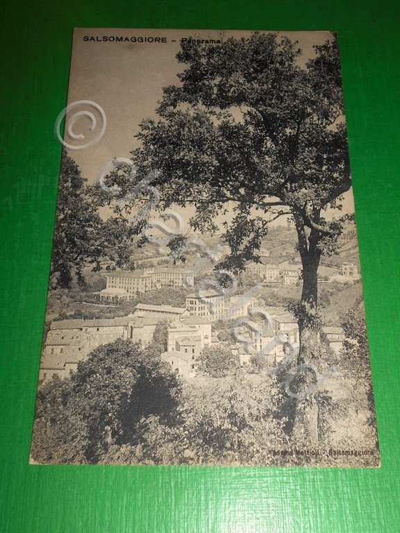 Cartolina Salsomaggiore - Panorama 1920 ca