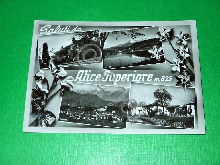 Cartolina Saluti da Alice Superiore - Vedute diverse 1961.
