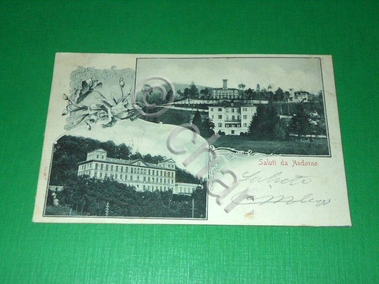 Cartolina Saluti da Andorno - Vedute diverse 1901