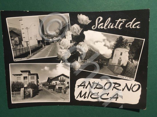 Cartolina Saluti Da Andorno Micca - 1969