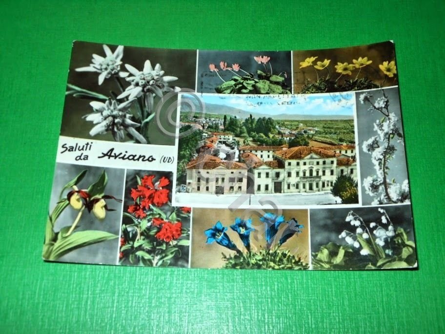 Cartolina Saluti da Aviano - Scorcio panoramico e altre vedute …