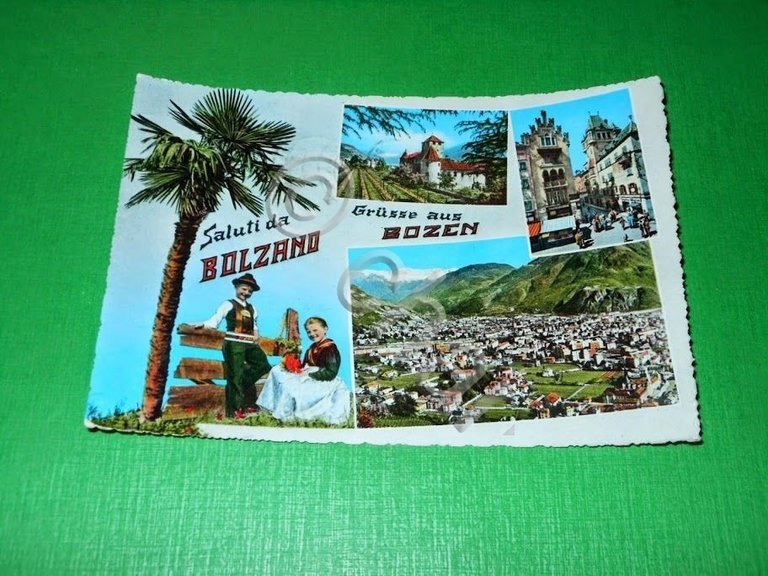 Cartolina Saluti da Bolzano / Grusse aus Bozen - Vedute …