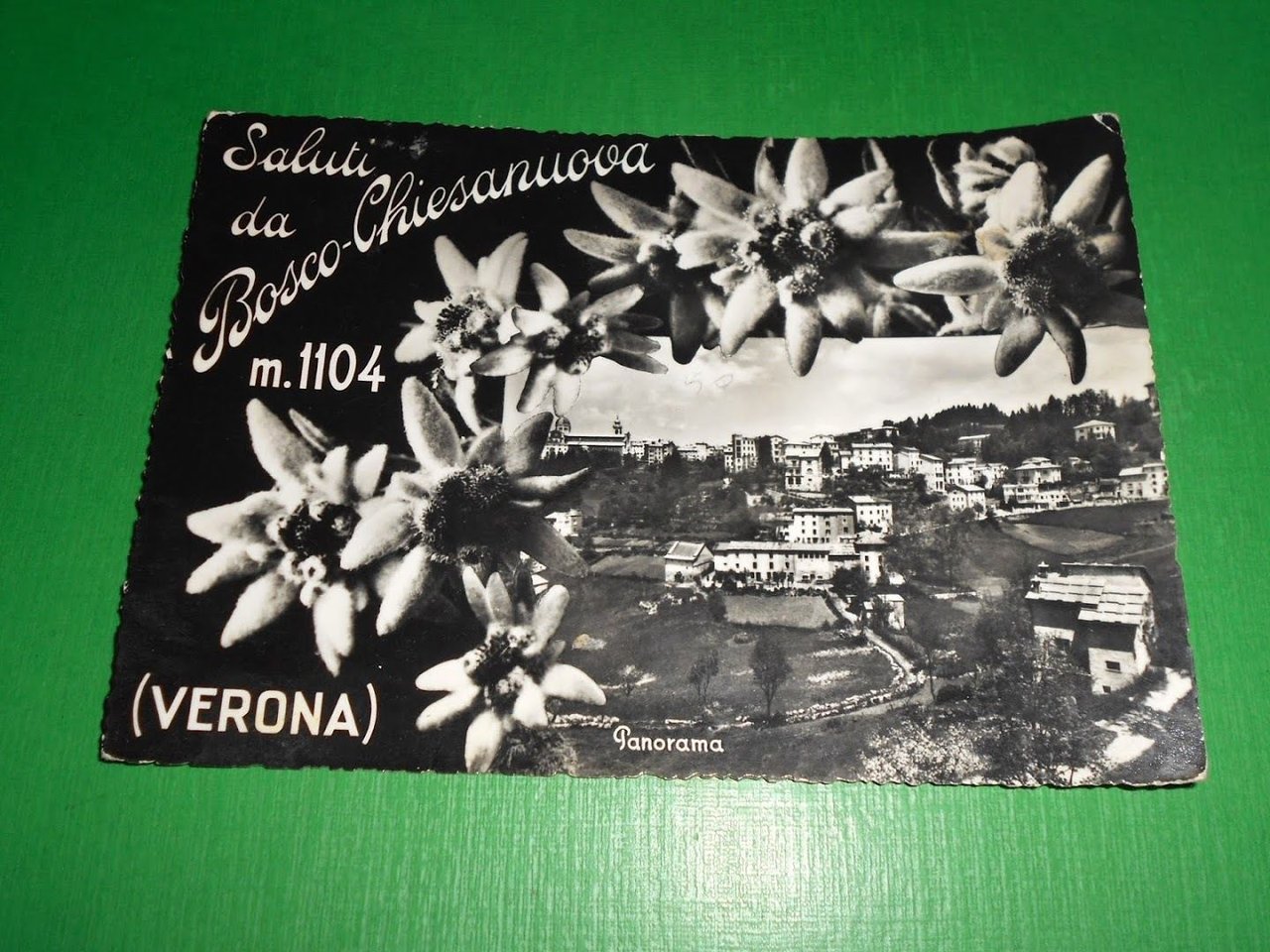 Cartolina Saluti da Bosco Chiesanuova - Vedute diverse 1956.