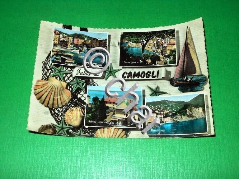 Cartolina Saluti da Camogli - Vedute diverse 1957