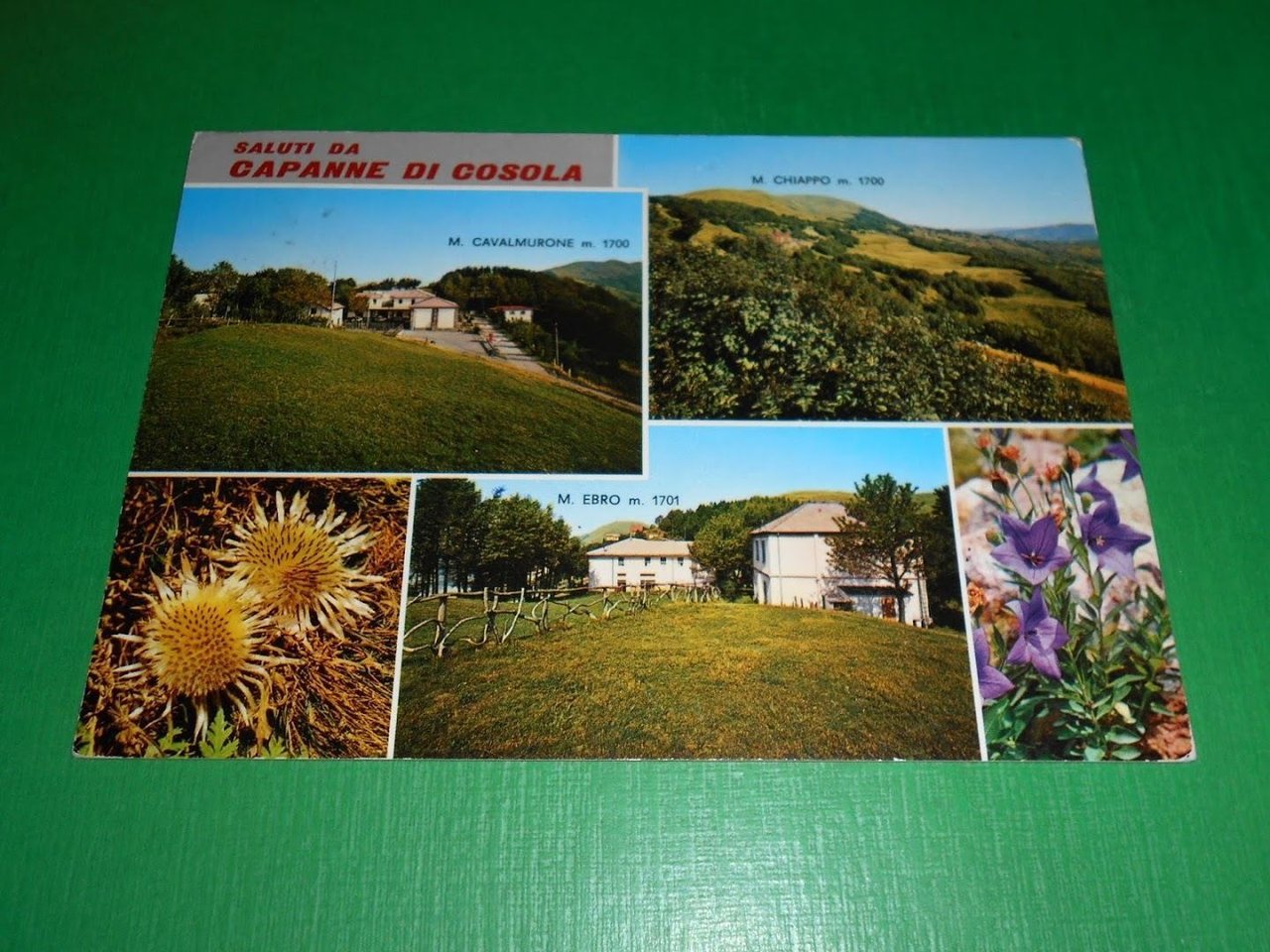 Cartolina Saluti da Capanne di Cosola - Vedute diverse 1976.