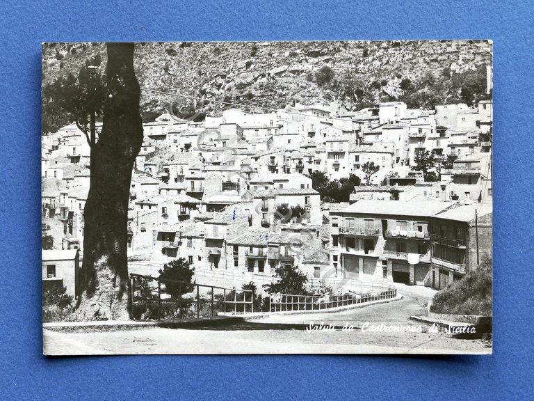 Cartolina Saluti da Castronuovo di Sicilia - 1970.