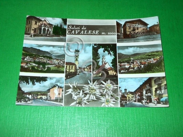 Cartolina Saluti da Cavalese - Vedute diverse 1961.