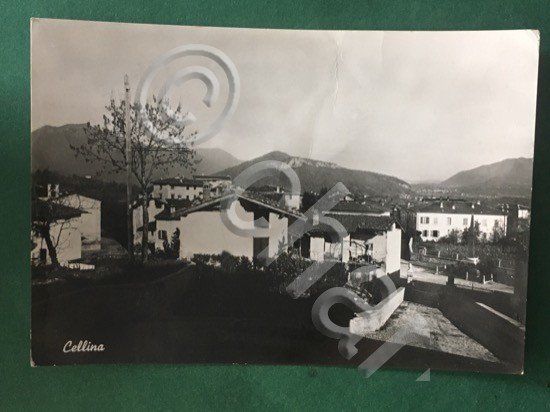 Cartolina Saluti Da Cellina - 1951 | Immagine Gallery 3