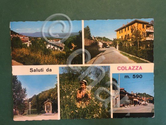 Cartolina Saluti da Colazza - 1970