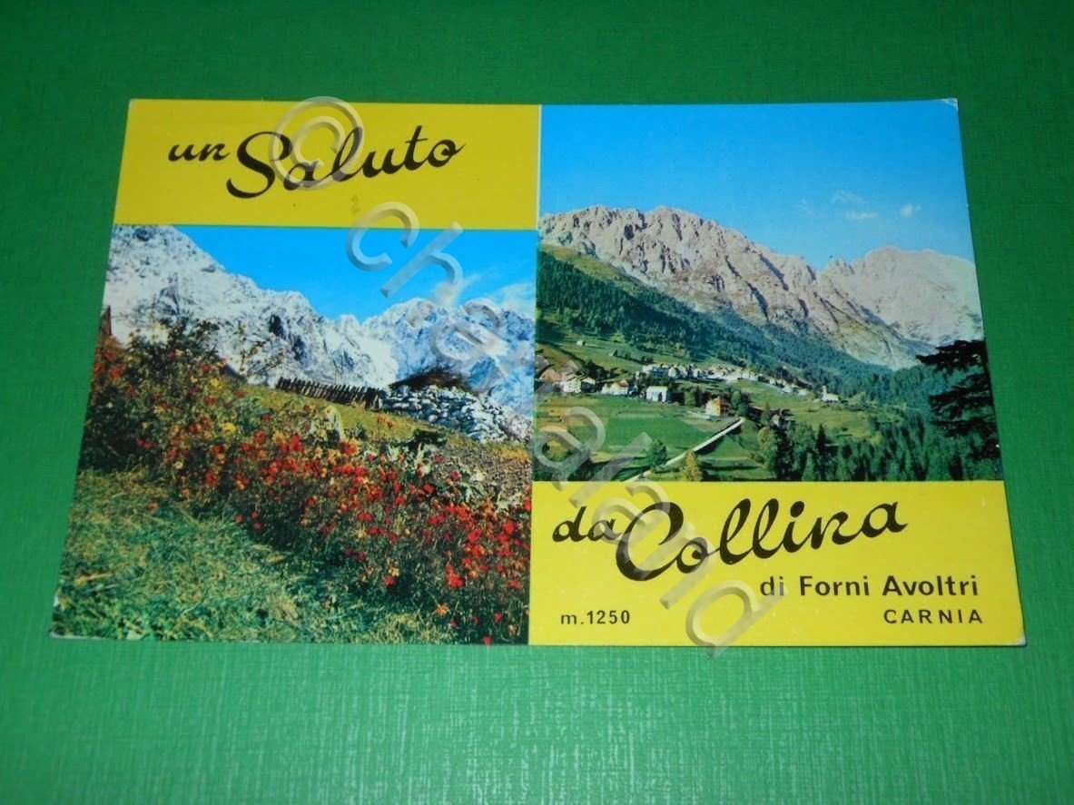 Cartolina Saluti da Collina ( Forni Avoltri ) - Panorama …