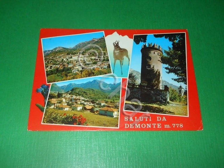 Cartolina Saluti da Demonte - Vedute diverse 1978