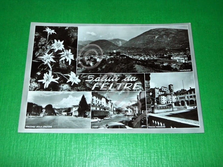 Cartolina Saluti da Feltre - Vedute diverse 1955 ca.