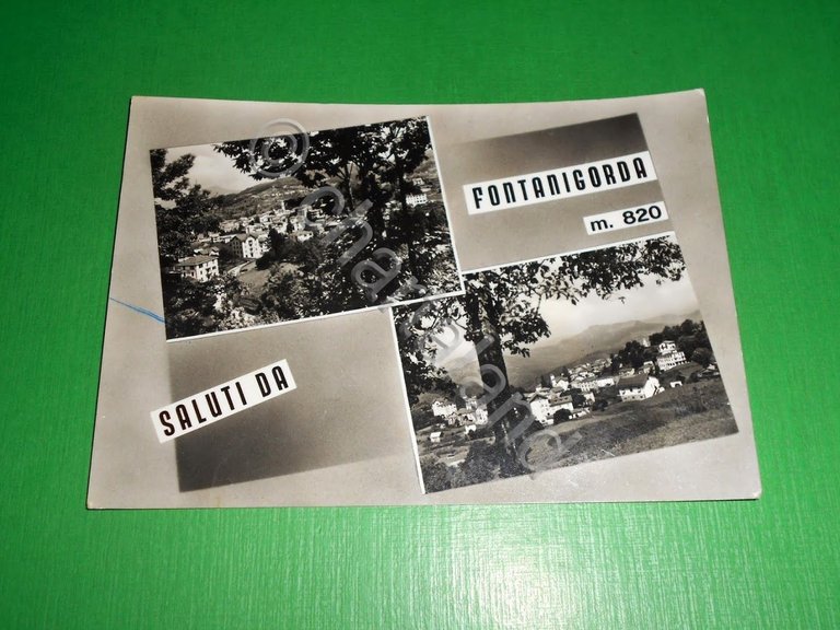 Cartolina Saluti da Fontanigorda - Vedute diverse 1963