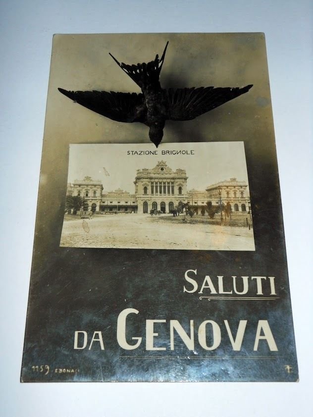 Cartolina Saluti da Genova - Stazione Brignole 1906.