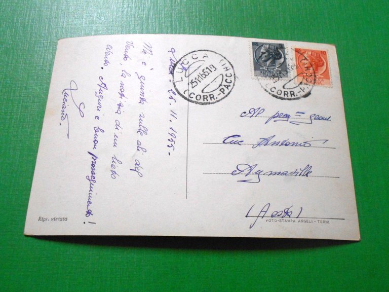 Cartolina Saluti da Lucca - Vedute diverse 1955.