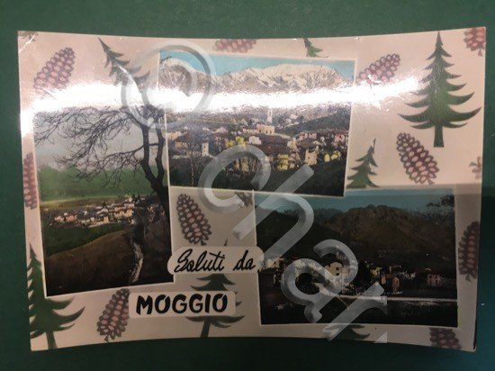 Cartolina Saluti Da Moggio - 1957