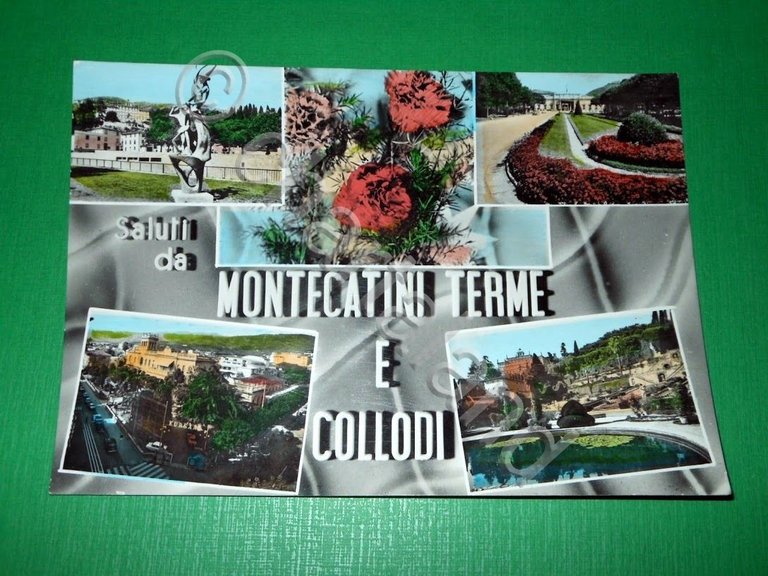 Cartolina Saluti da Montecatini Terme e Collodi - Vedute diverse …