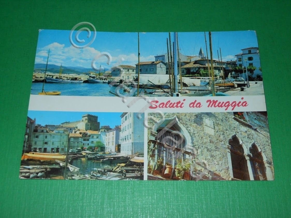Cartolina Saluti da Muggia - Vedute diverse 1971 ca.