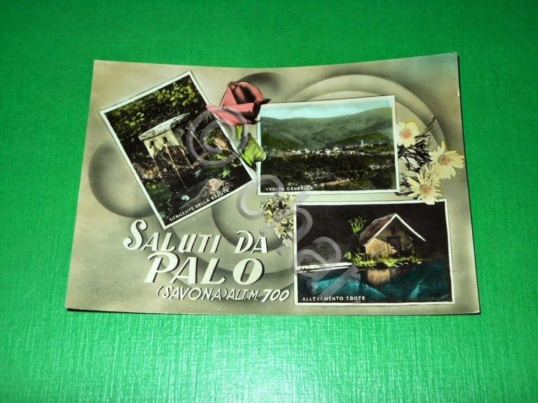 Cartolina Saluti da Palo ( Savona ) - Vedute diverse …