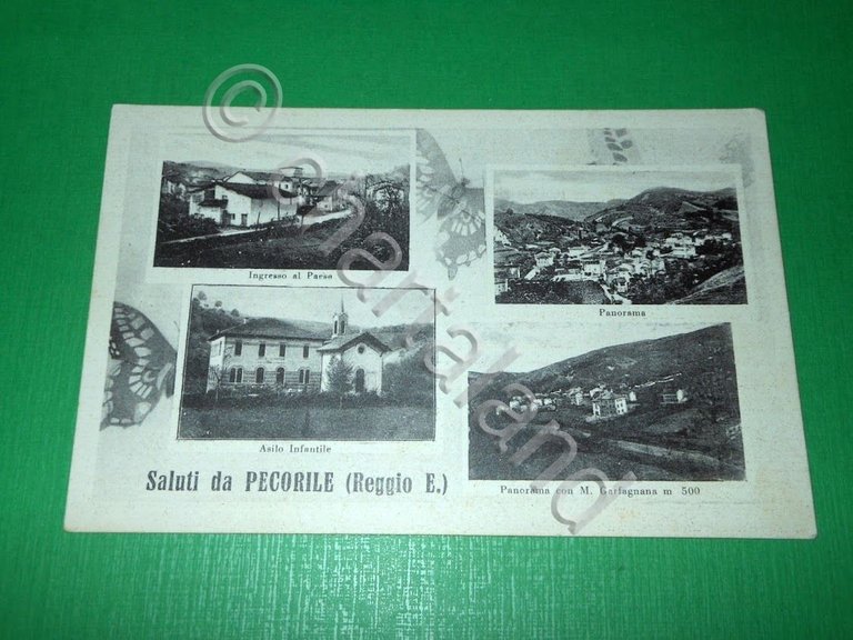 Cartolina Saluti da Pecorile ( Reggio Emilia ) - Vedute …