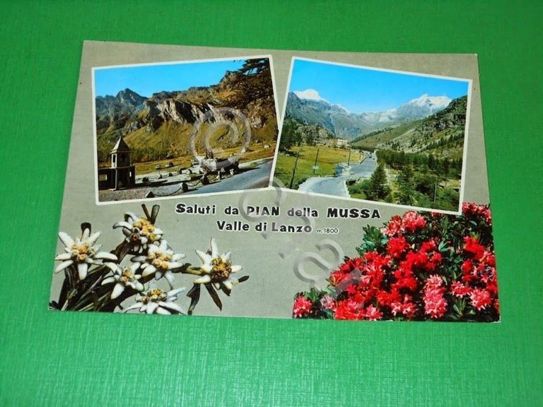 Cartolina Saluti da Pian della Mussa - Valle di Lanzo …