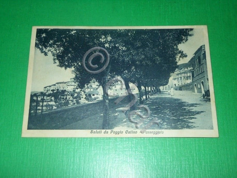 Cartolina Saluti da Poggio Catino - Passeggiata 1934.