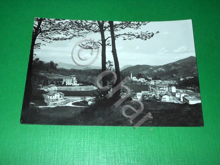 Cartolina Saluti da Ponzone - Scorcio panoramico 1972
