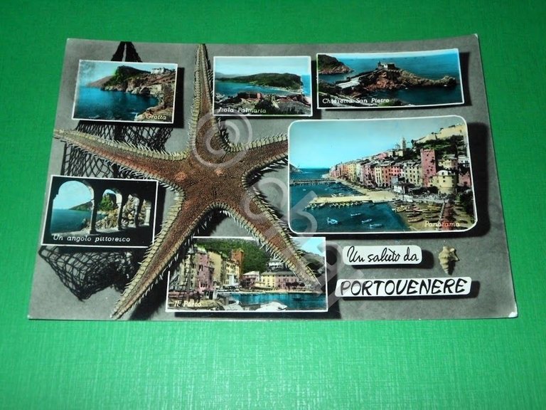 Cartolina Saluti da Porto Venere - Vedute diverse 1960 ca.