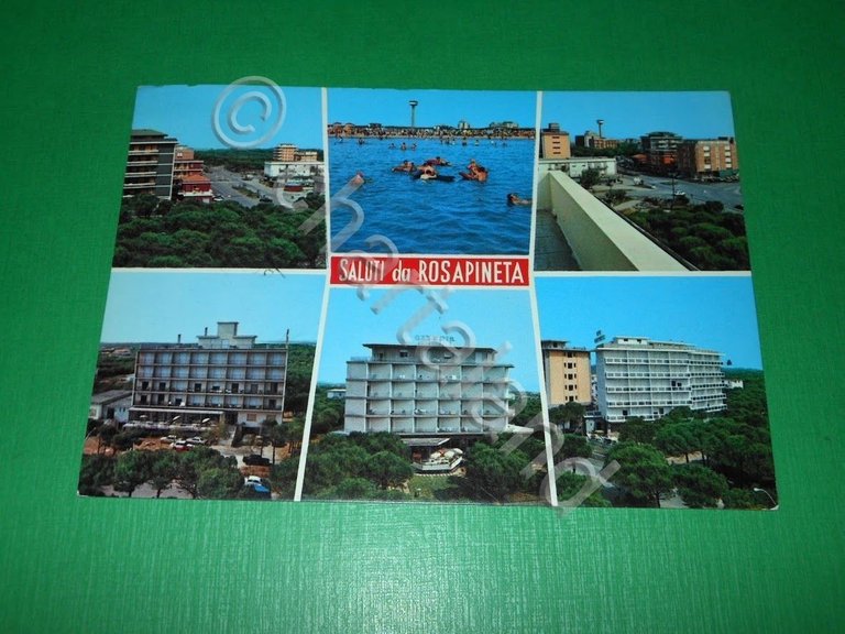 Cartolina Saluti da Rosapineta ( Rovigo ) - Vedute diverse …