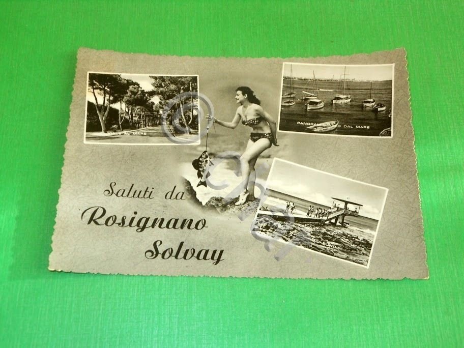Cartolina Saluti da Rosignano Solvay - Vedute diverse 1956.