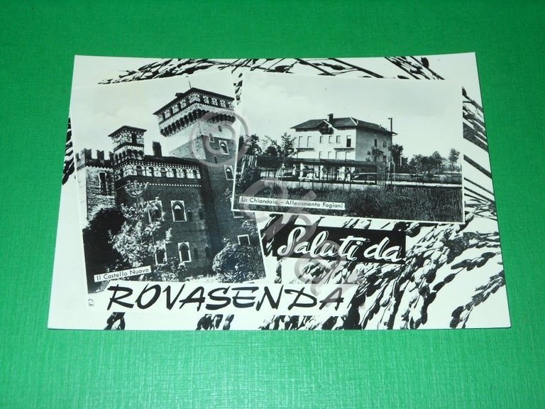 Cartolina Saluti da Rovasenda ( Vercelli ) - Allevamento Fagiani …