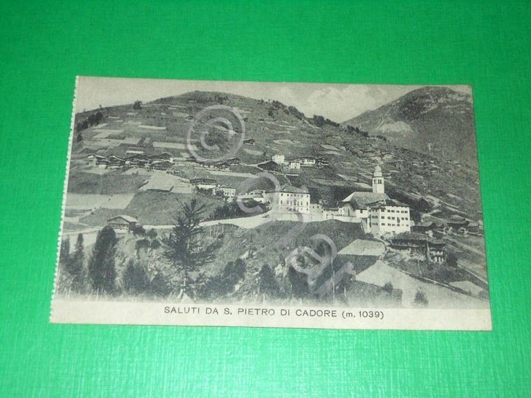 Cartolina Saluti da S. Pietro di Cadore - Panorama 1920 …