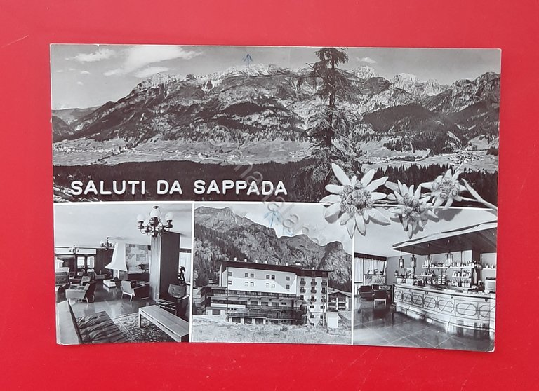 Cartolina Saluti da Sappada Albergo Casa ai Monti mt. 1250 …