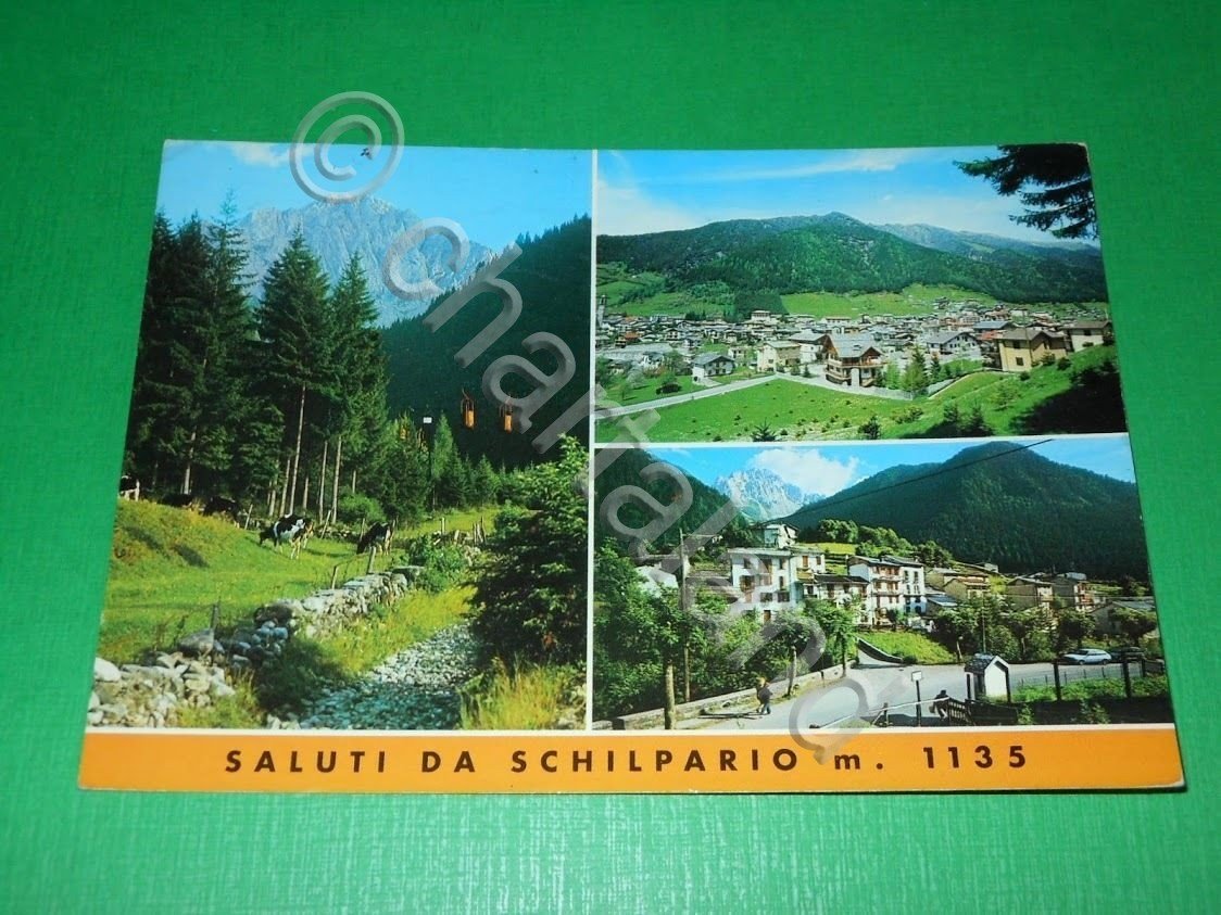 Cartolina Saluti da Schilpario ( Bergamo ) - Vedute diverse …