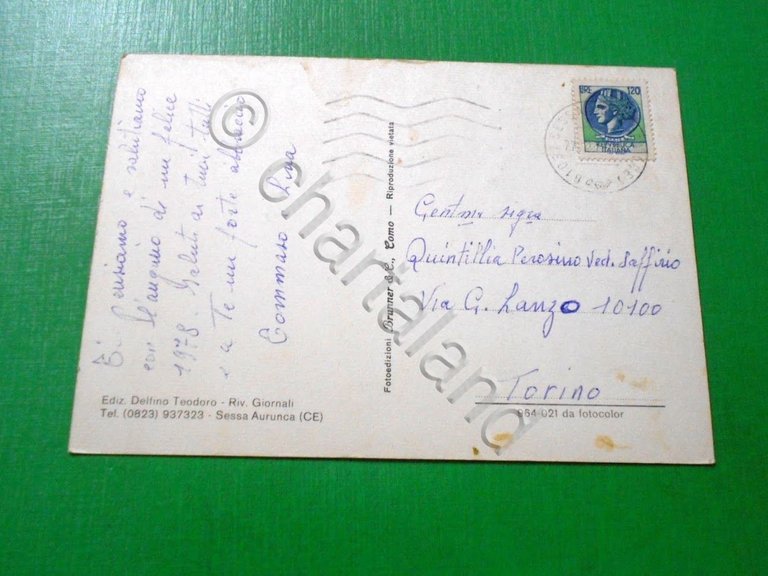 Cartolina Saluti da Sessa Aurunca - Vedute diverse 1978.