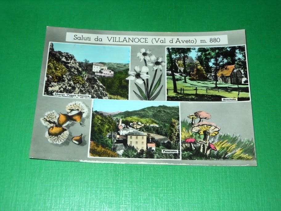 Cartolina Saluti da Villanoce ( Val d'Aveto ) - Vedute …