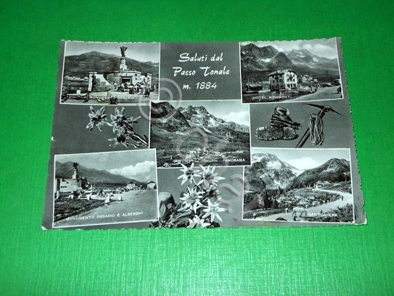 Cartolina Saluti dal Passo Tonale - Vedute diverse 1961