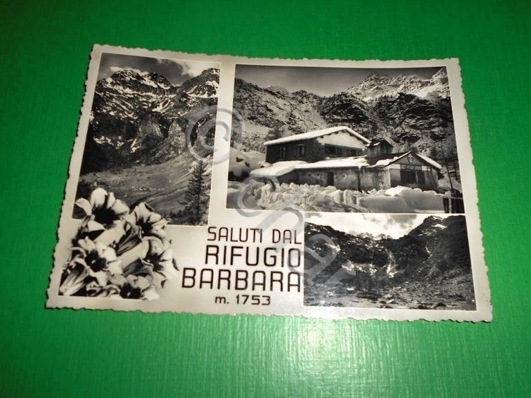 Cartolina Saluti dal Rifugio Barbara - Bobbio Pellice 1956