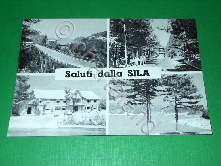 Cartolina Saluti dalla Sila - Vedute diverse 1960 ca ( …