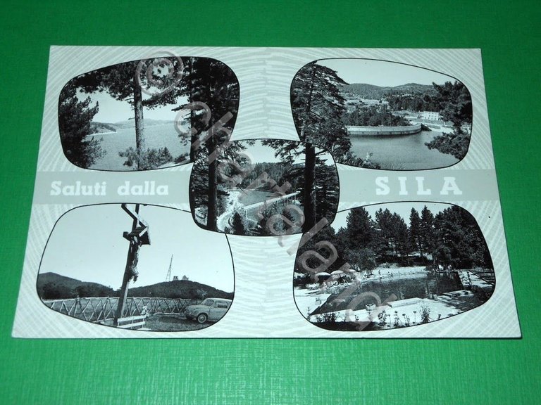 Cartolina Saluti dalla Sila - Vedute diverse 1960 ca ( …