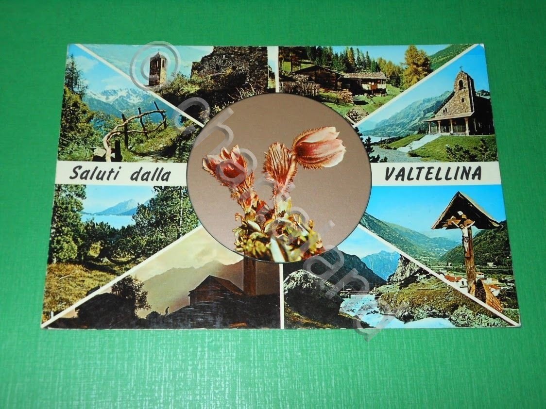 Cartolina Saluti dalla Valtellina - Vedute diverse 1972.