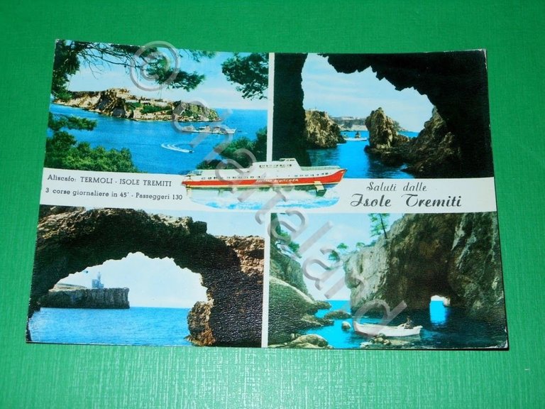 Cartolina Saluti dalle Isole Tremiti - Vedute diverse 1964