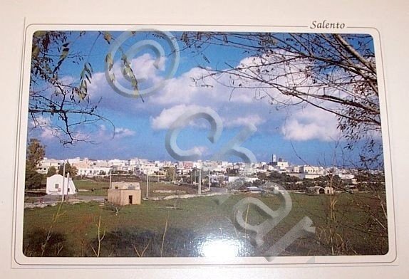 Cartolina Salve Panoramica Lecce 1977.