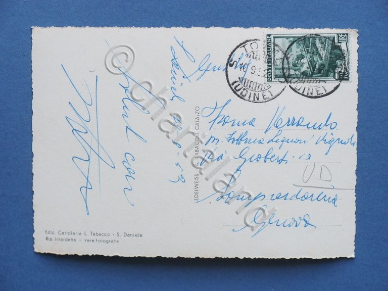 Cartolina San Daniele del Friuli - Panorama - 1953