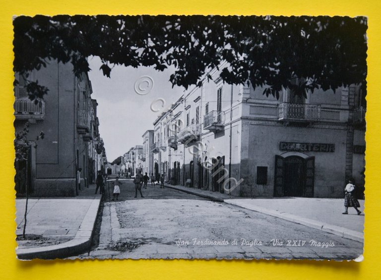 Cartolina San Ferdinando Di Puglia Via XXIV Maggio 1950
